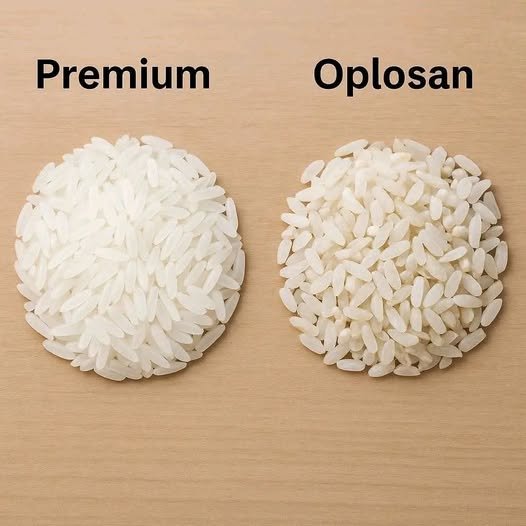 Ilustrasi perbedaan beras premium dan oplosan. Foto: Facebook