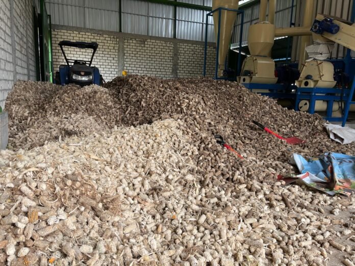 Limbah bonggol jagung dari petani di Tuban diolah melalui mesin hammer mill bantuan CSR PLN Nusantara Power UP Tanjung Awar-awar sebelum dijadikan sebagai campuran biomassa pada co-firing PLTU Tuban.