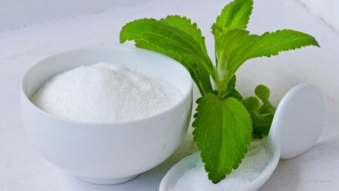 Ilustrasi stevia. rslavalette.ihc.id